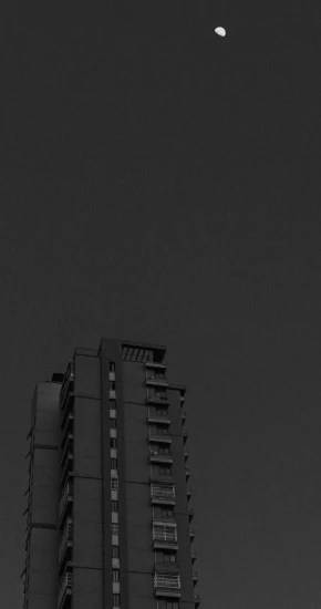 Blackwallfinity-226_736_1299