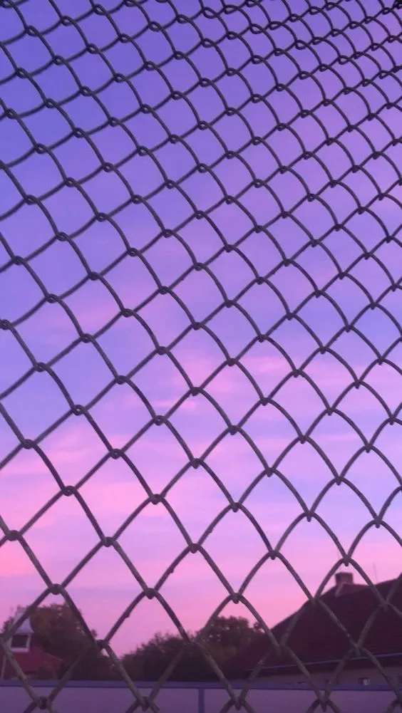 Cuteaesthetic-44_564_1001.webp