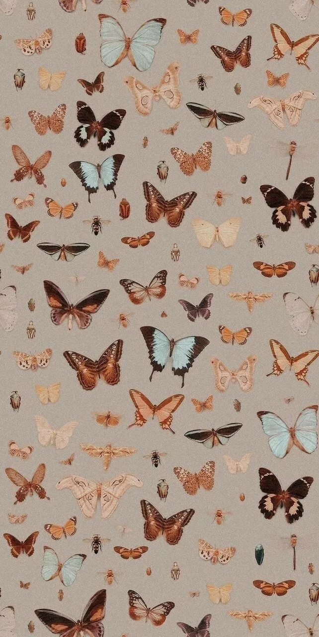 Cuteaesthetic-653_642_1280.webp