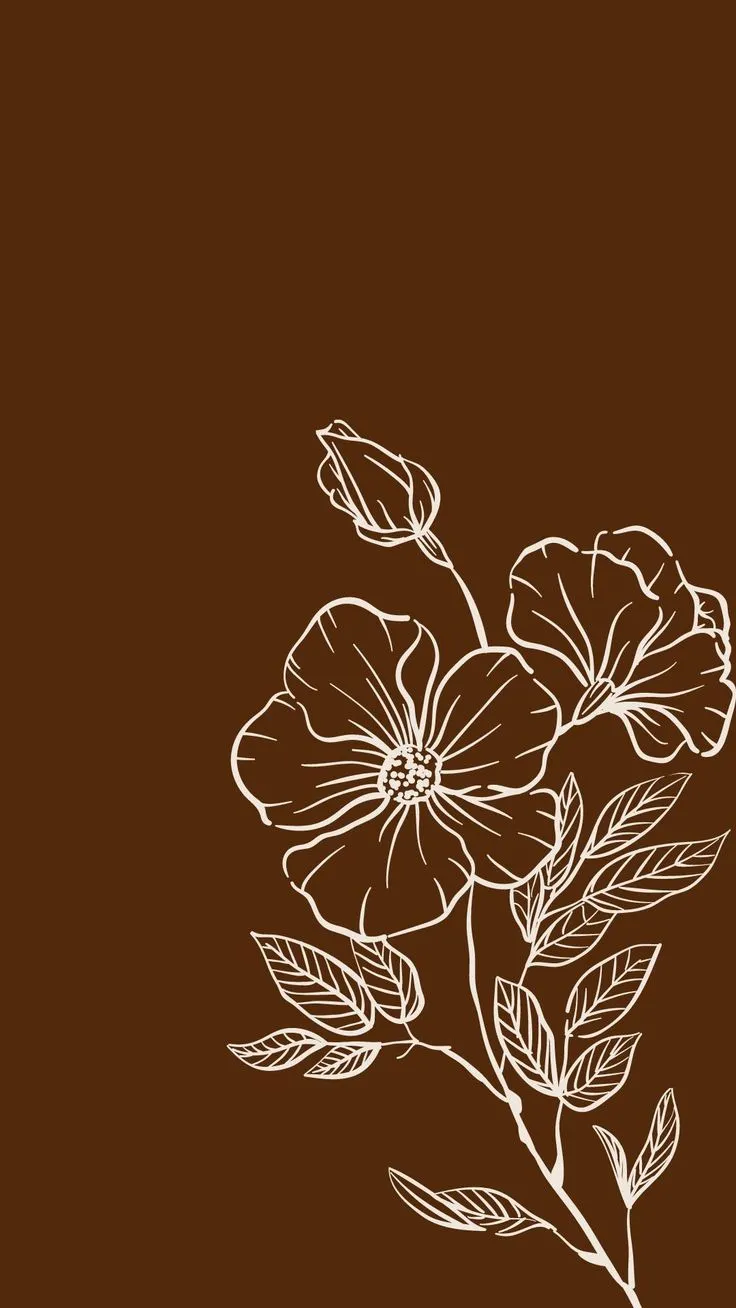Cuteaesthetic-65_736_1308.webp