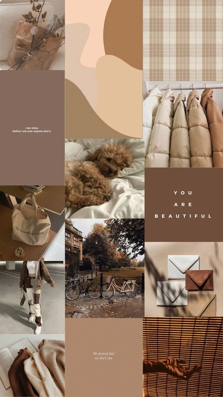 Cuteaesthetic-733_736_1308.webp