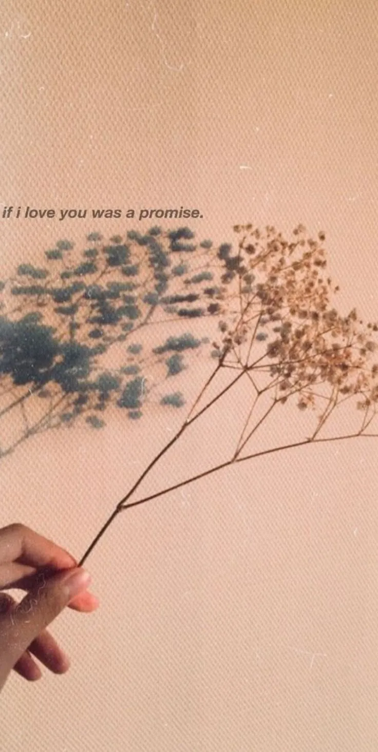 Cuteaesthetic-743_736_1465.webp