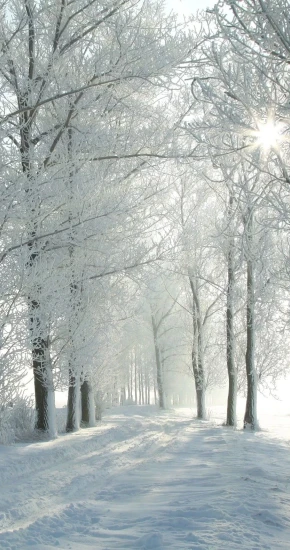 Winter-15_891_1583.webp