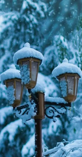 Winter-35_720_1280