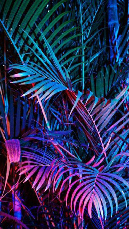 hologolographic wallpaper (17)