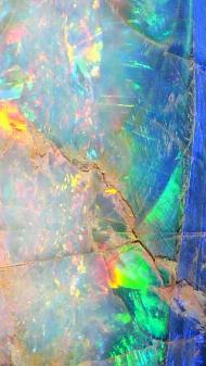 hologolographic-wallpaper-80